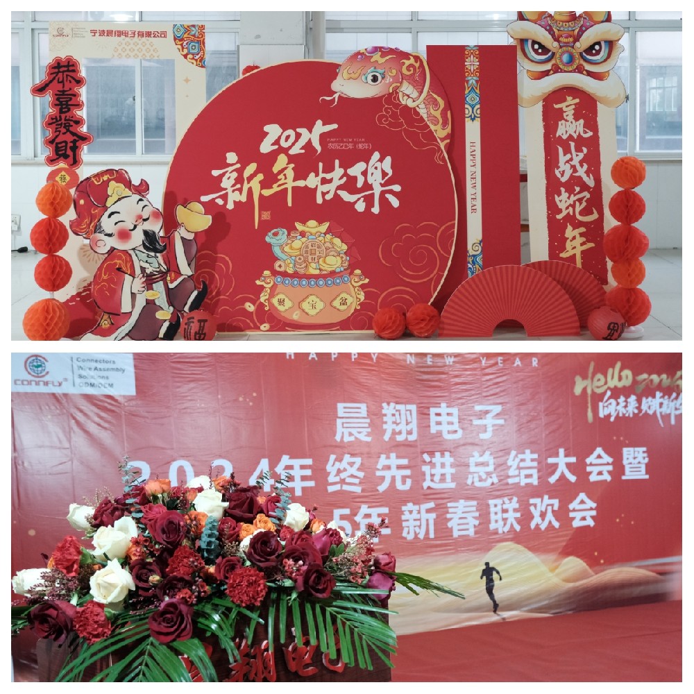 晨翔电子2024年终先进总结大会暨2025年新春联欢会圆满落幕！