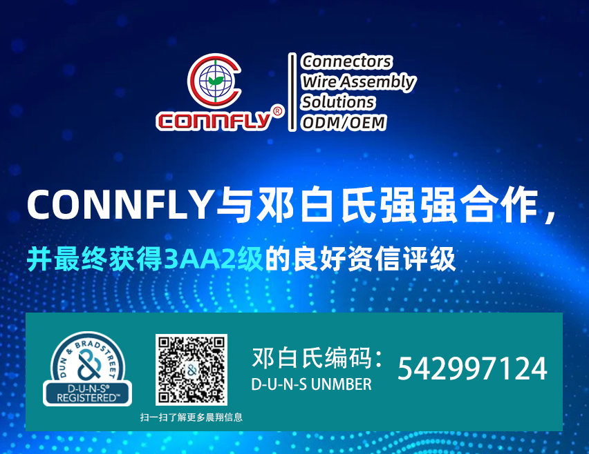 CONNFLY与邓白氏强强合作，并最终获得3AA2级的良好资信评级!